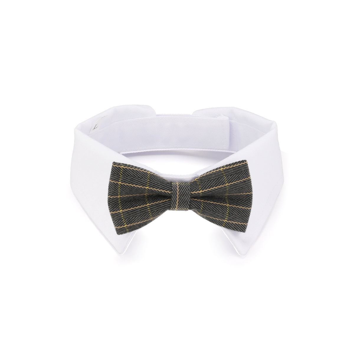 Clive Bow Collar