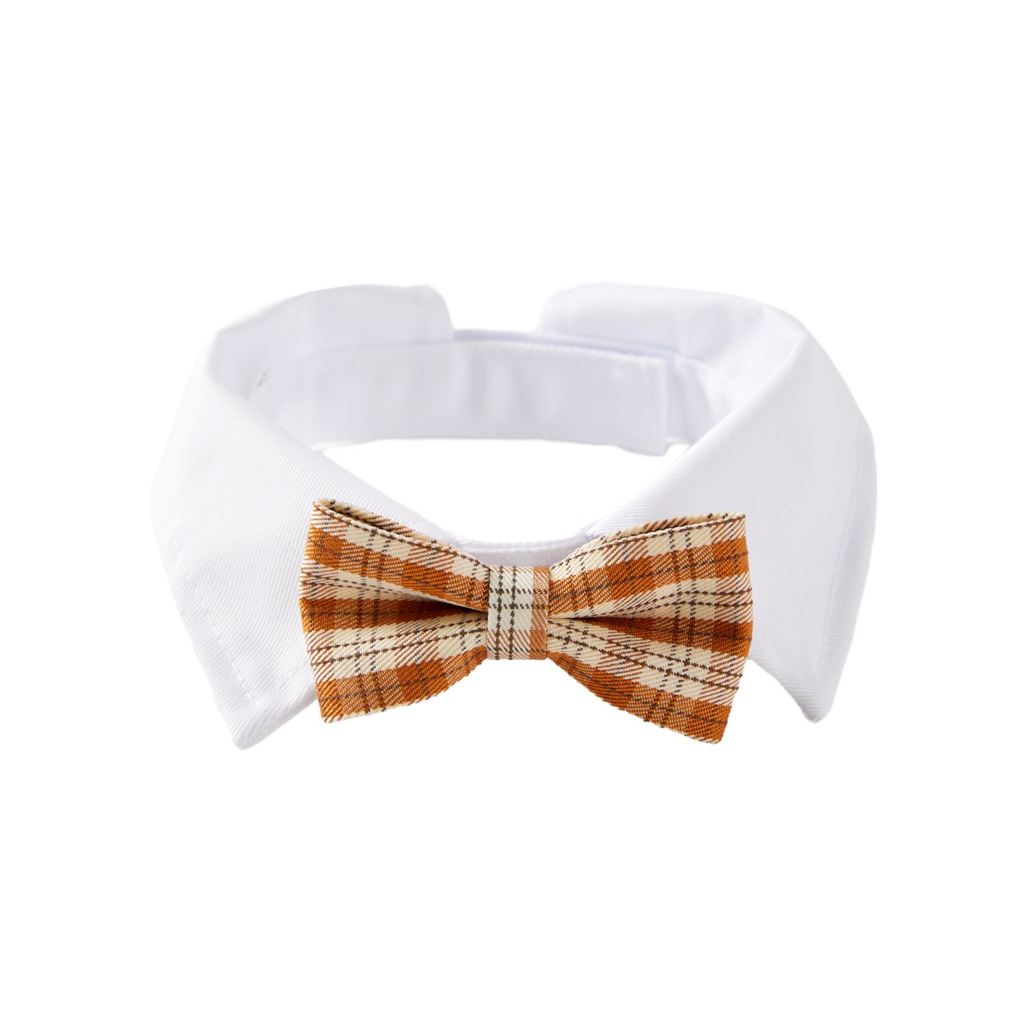 Clive Bow Collar