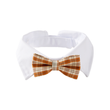 Clive Bow Collar