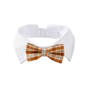 Clive Bow Collar