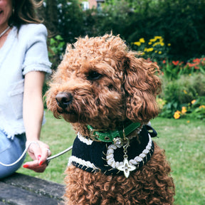 Courmayeur Collar